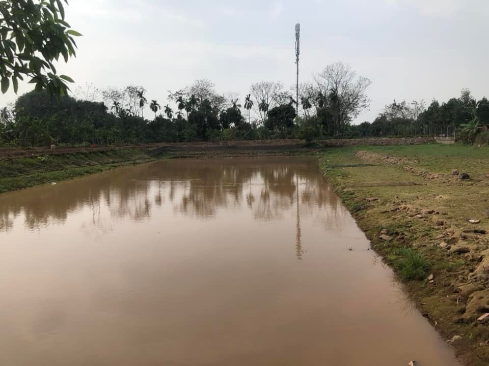 BÁN TRANG TRẠI TỔNG HỢP 5.500M² - XÃ VÂN NAM, PHÚC THỌ - SÁT ĐƯỜNG 421 - DOANH THU ỔN ĐỊNH - 5.2 TỶ