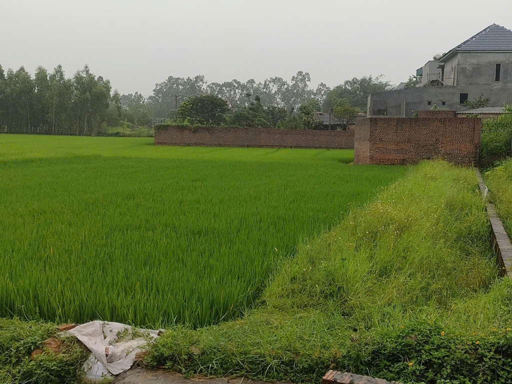 BÁN NHÀ VƯỜN Ở & ĐẦU TƯ - 2 XÓM ĐỒI, PHÚ HỮU, KIM ANH - 10.9 TỶ