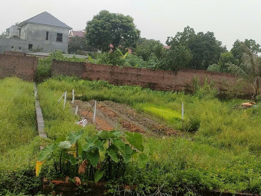 BÁN NHÀ VƯỜN Ở & ĐẦU TƯ - 2 XÓM ĐỒI, PHÚ HỮU, KIM ANH - 10.9 TỶ