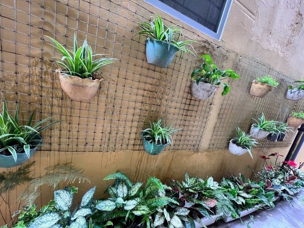 BÁN TẬP THỂ TẦNG 1 PHƯƠNG MAI - ĐỐNG ĐA: DIỆN TÍCH THỰC TẾ 68M2 - TIỆN ÍCH NGẬP TRÀN - CHỈ 10M RA Ô TÔ TRÁNH - GIÁ 6.25 TỶ