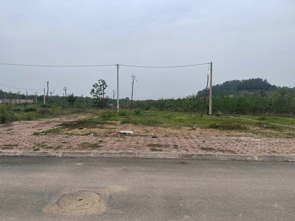 【BÁN ĐẤT PHÂN LÔ Ô TÔ】LÔ GÓC 146M2 KHU ĐẤU GIÁ X1 TAM ĐỒNG - MẶT TIỀN 7.3M - SỔ NỞ HẬU - 8.35 TỶ