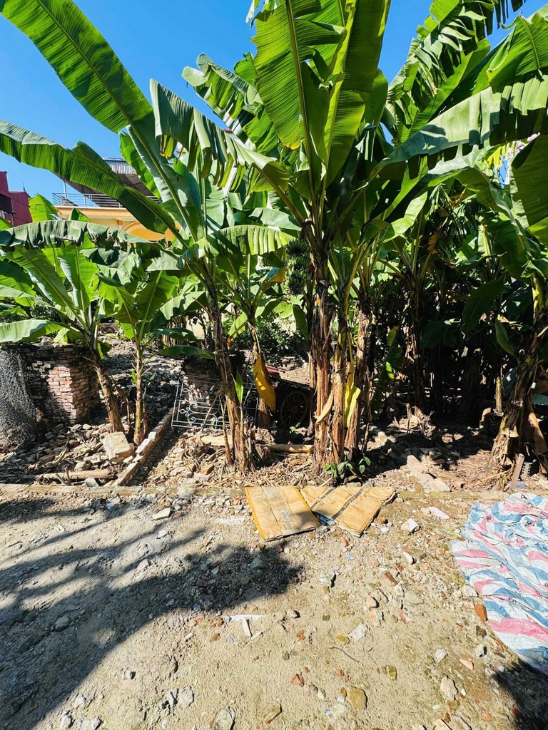 【ĐẤT 2 MẶT NGÕ - Ô TÔ VÀO ĐẤT】Lô Đất 54m² Tổ 2 Giang Biên - Vị Trí Cực Đắc Địa - Ô Tô Vào Tận Đất - Tiềm Năng Tăng Trưởng Mạnh - Giá Chỉ 4.45 Tỷ