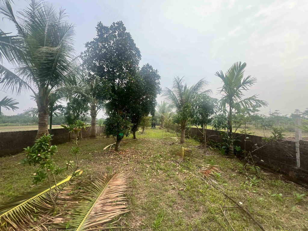 【ĐẤT 785M² MẶT TIỀN 12M - GÒ VUA, TÂN PHÚ】- 5 TỶ