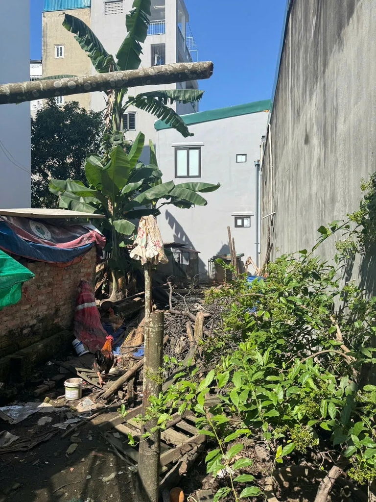 【ĐẤT NỀN MIÊU NHÀ - XÂY CCMN - 53M² - 6.5 TỶ】