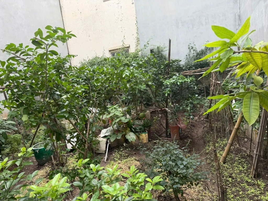 【ĐẤT NỀN 97M² - PHỐ LẠC LONG QUÂN, CẦU GIẤY】- 23.85 TỶ