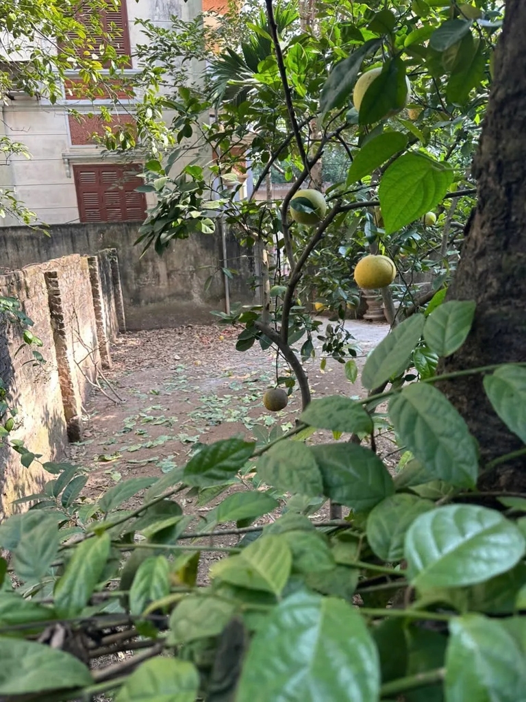 【ĐẤT LÔ GÓC 2 MẶT THOÁNG - ĐẠI MỖ】- 66.8m² - Ô TÔ VÀO TẬN NƠI - XÂY CCMN 7 TẦNG - 11.9 TỶ