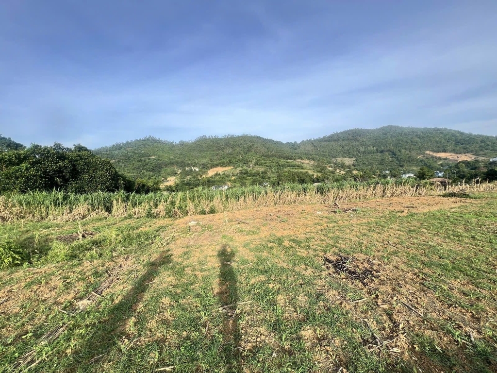 BÁN ĐẤT VÀNG QUY MÔ LỚN 660M² - THÔN ĐỒNG KHĂN, PHÚ MÃN, QUỐC OAI - MẶT TIỀN 18M - TIỀM NĂNG HOMESTAY, DU LỊCH SINH THÁI - 2.6 TỶ