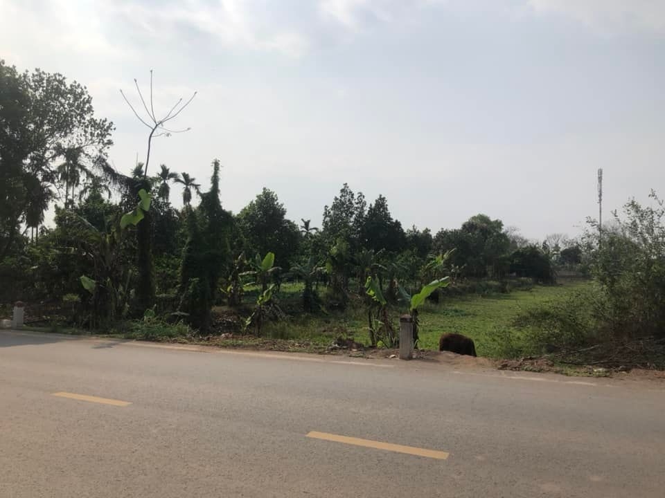 BÁN TRANG TRẠI TỔNG HỢP 5.500M² - XÃ VÂN NAM, PHÚC THỌ - SÁT ĐƯỜNG 421 - DOANH THU ỔN ĐỊNH - 5.2 TỶ