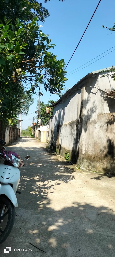 【LÔ ĐẤT PHÂN LÔ VÀNG】 Hoàng Văn Thụ, Chương Mỹ - 704m² - Mặt Tiền 55m - Giá 7.4 Tỷ