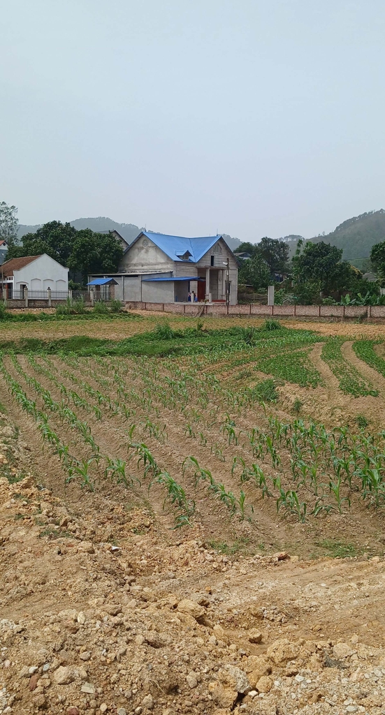 BÁN ĐẤT THỔ CƯ LÔ GÓC VIEW HỒ - 2500M² - THÔN LƯƠNG ĐÌNH, XÃ BẮC HẠ, SÓC SƠN - 11 TỶ