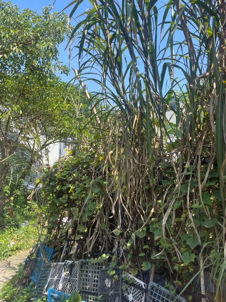 【SIÊU PHẨM ĐẤT VÀNG PHÂN LÔ】Hà Trì 4, Hà Đông - 670.3m² - 2 Mặt Tiền - Giá 58.5 Tỷ