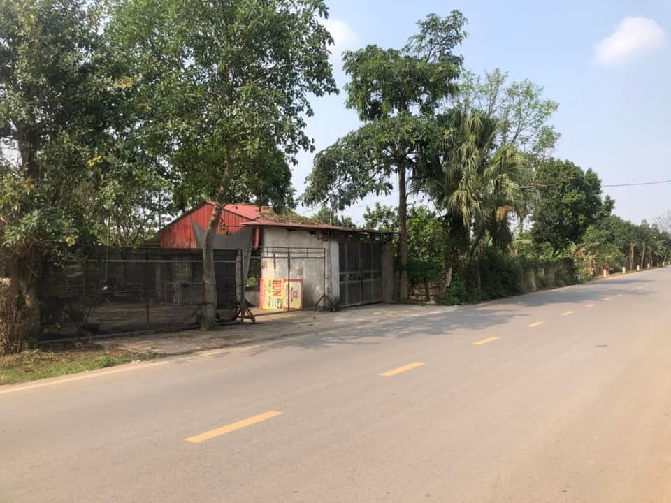 BÁN TRANG TRẠI TỔNG HỢP 5.500M² - XÃ VÂN NAM, PHÚC THỌ - SÁT ĐƯỜNG 421 - DOANH THU ỔN ĐỊNH - 5.2 TỶ