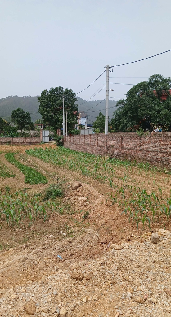 BÁN ĐẤT THỔ CƯ LÔ GÓC VIEW HỒ - 2500M² - THÔN LƯƠNG ĐÌNH, XÃ BẮC HẠ, SÓC SƠN - 11 TỶ