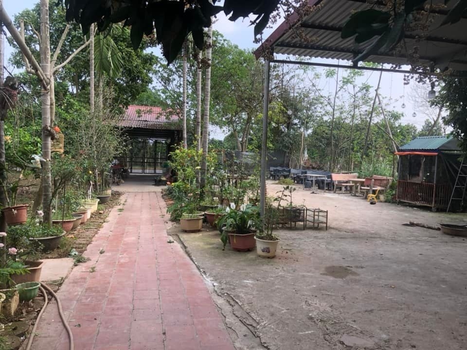 BÁN TRANG TRẠI TỔNG HỢP 5.500M² - XÃ VÂN NAM, PHÚC THỌ - SÁT ĐƯỜNG 421 - DOANH THU ỔN ĐỊNH - 5.2 TỶ