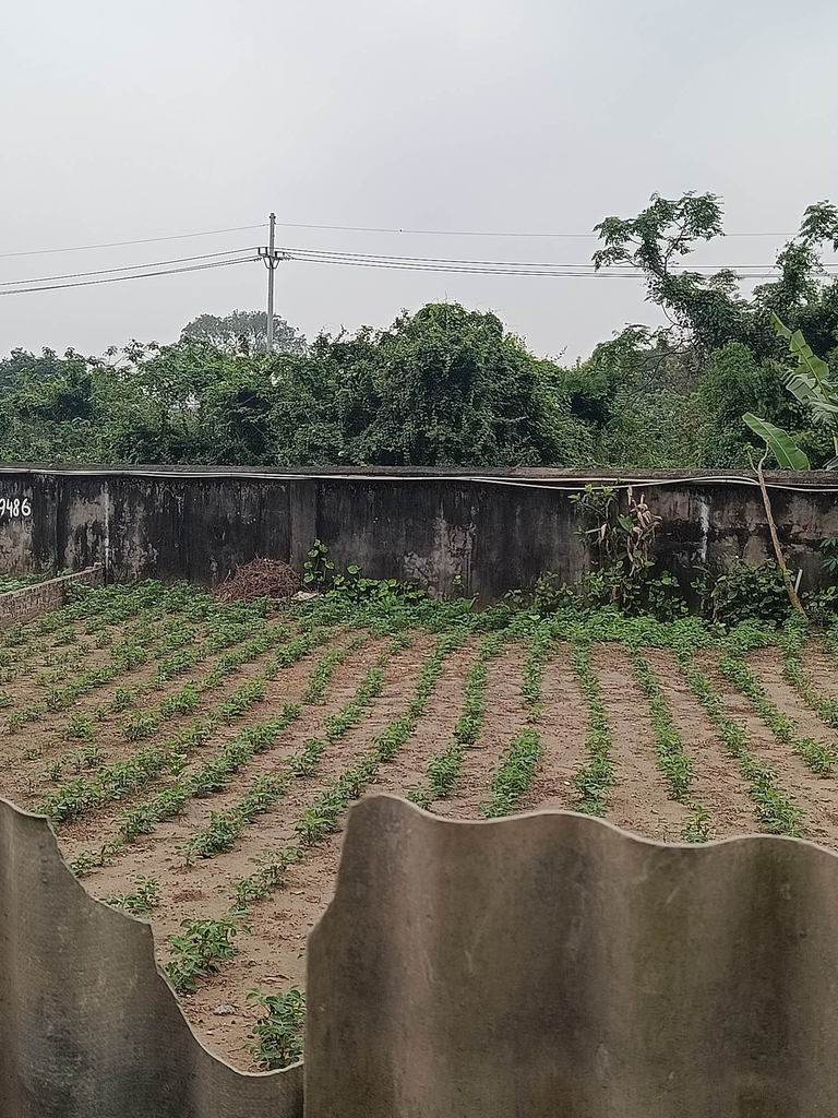 BÁN ĐẤT PHÂN LÔ MAI HIÊN - ĐÔNG ANH: VỊ TRÍ VÀNG GẦN CÂY XĂNG - MẶT TIỀN 7M - CƠ HỘI ĐẦU TƯ SINH LỜI ĐỘT BIẾN