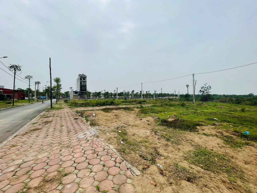 【BÁN ĐẤT PHÂN LÔ Ô TÔ】LÔ GÓC 146M2 KHU ĐẤU GIÁ X1 TAM ĐỒNG - MẶT TIỀN 7.3M - SỔ NỞ HẬU - 8.35 TỶ