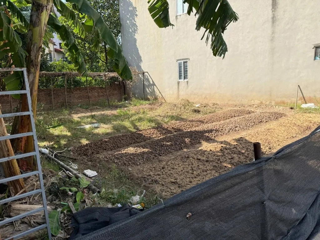 【ĐẤT THỬA - THÔN NỘI 2】- 136m² - ĐẤT C4 - ĐƯỜNG Ô TÔ TRÁNH - 5.5 TỶ