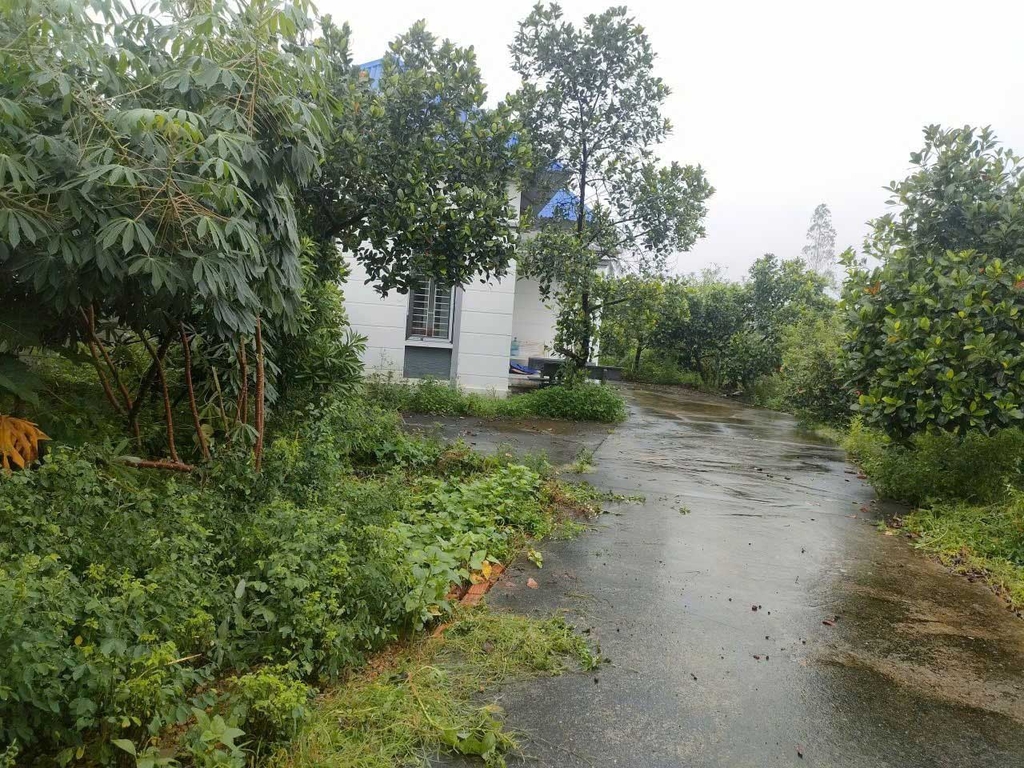 BÁN NHÀ VƯỜN Ở & ĐẦU TƯ - 2 XÓM ĐỒI, PHÚ HỮU, KIM ANH - 10.9 TỶ