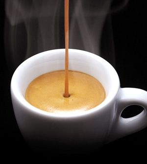 Việt Nam Arabica Đà Lạt Fully Washed SHG Lotus (high quality) - Stupiducks Specialty Coffee