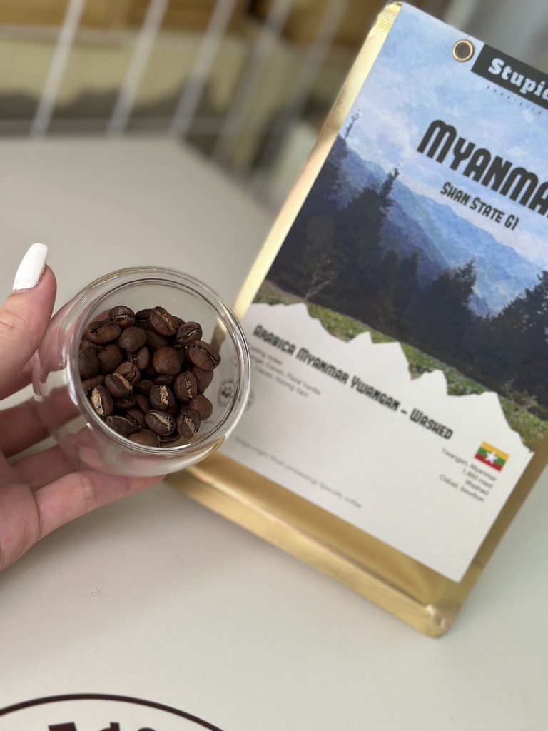 Arabica Myanmar Ywangan Shan State Wash Process G1 - Stupiducks Specialty Coffee (SSC Roaster)