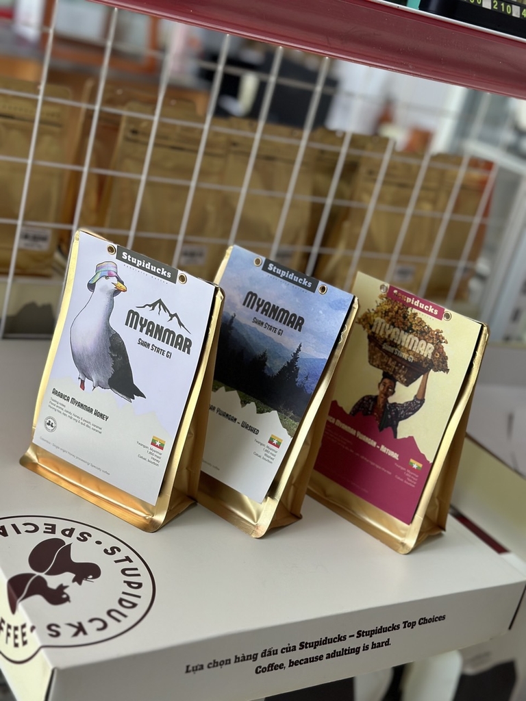Arabica Myanmar Ywangan Shan State Wash Process G1 - Stupiducks Specialty Coffee (SSC Roaster)