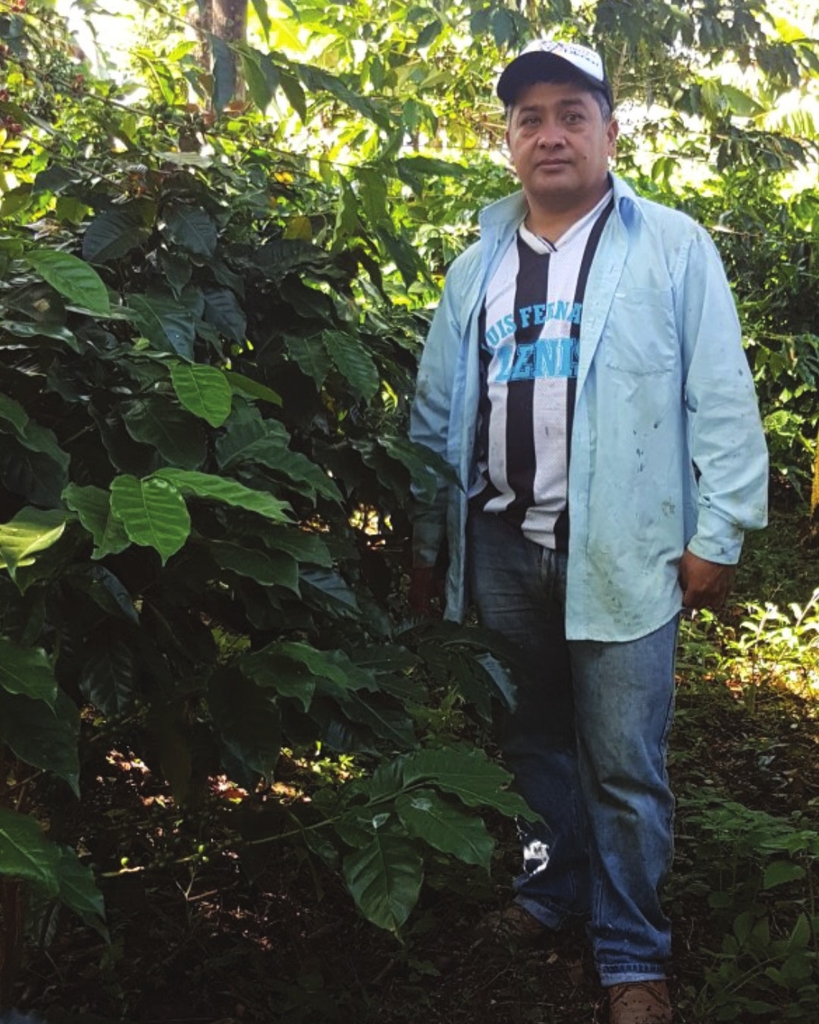 AMAZING Washed Coffee - BEANSLINK Project