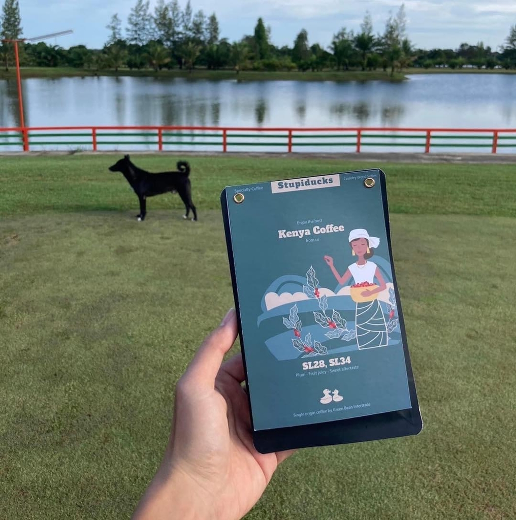 Kenya Coffee - Country Blend Series - Stupiducks Specialty Coffee (SSC)