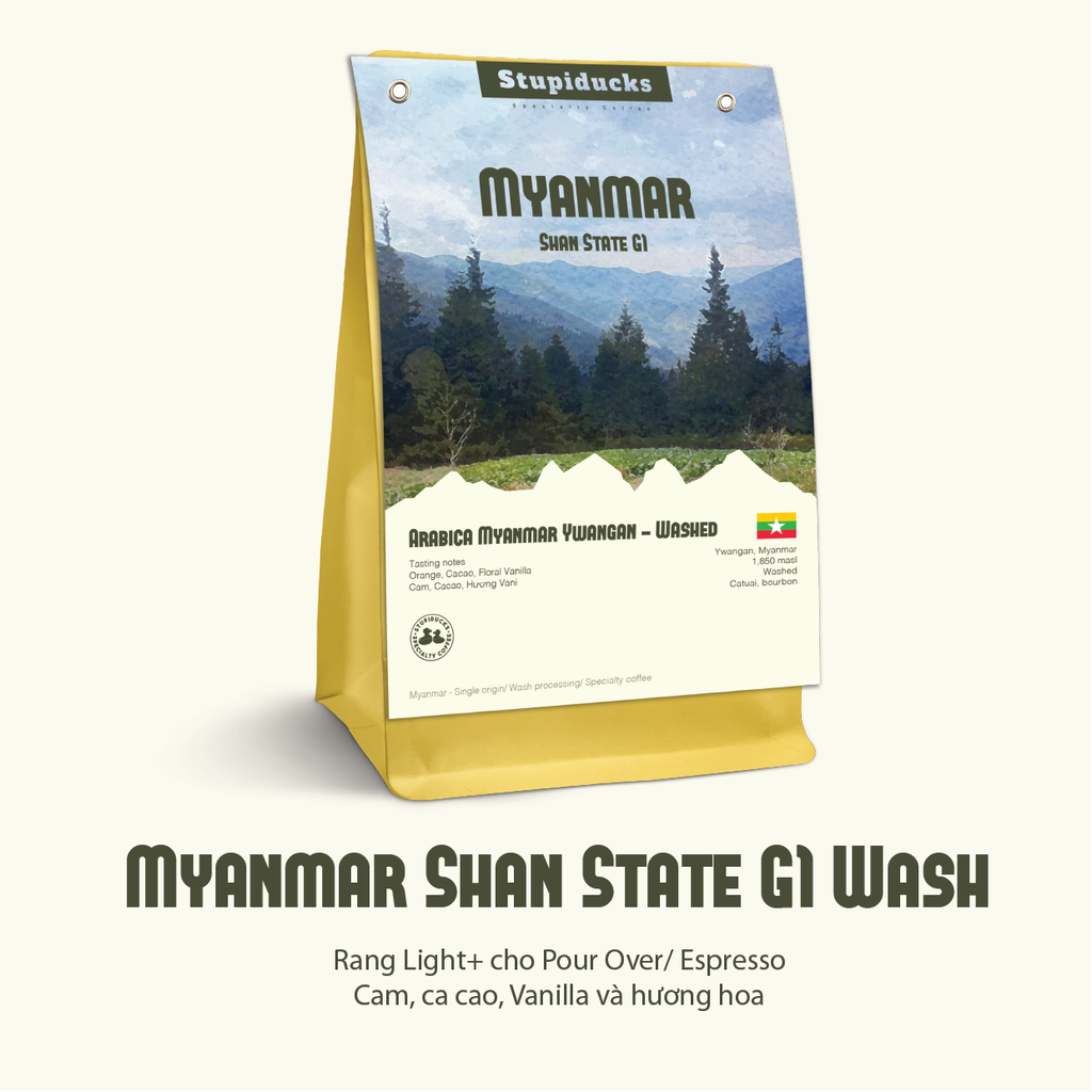 Arabica Myanmar Ywangan Shan State Wash Process G1 - Stupiducks Specialty Coffee (SSC Roaster)