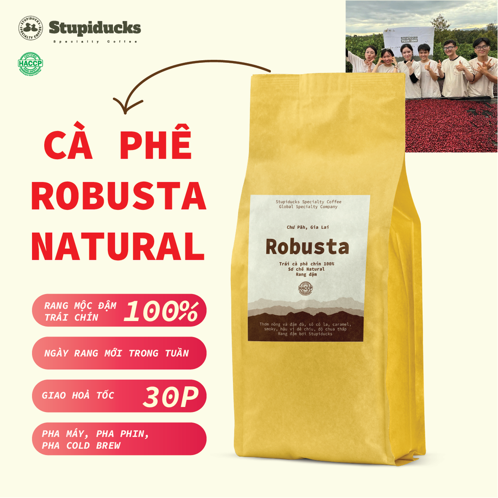 Việt Nam Robusta Chư Păh, Gia Lai Natural Process - Stupiducks Specialty Coffee (SSC)