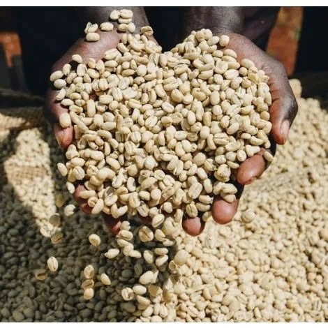 Ethiopia Aricha TOH #3 Washed G1 Kurume - Stupiducks Specialty Coffee ( SSC Roaster)