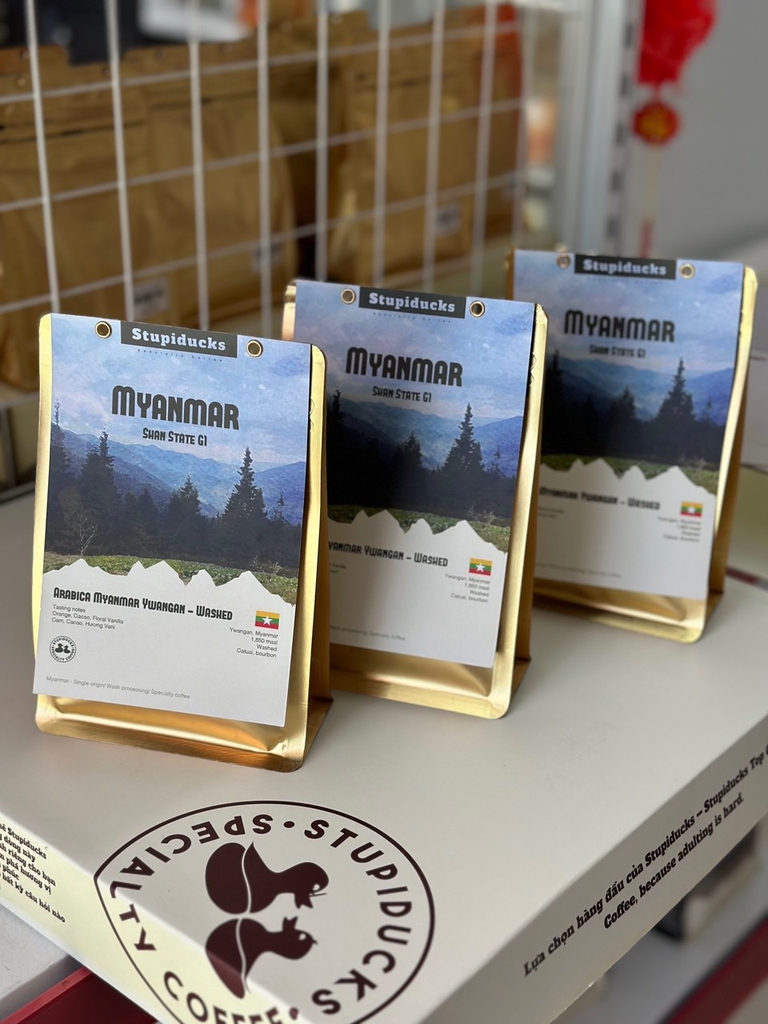 Arabica Myanmar Ywangan Shan State Wash Process G1 - Stupiducks Specialty Coffee (SSC Roaster)
