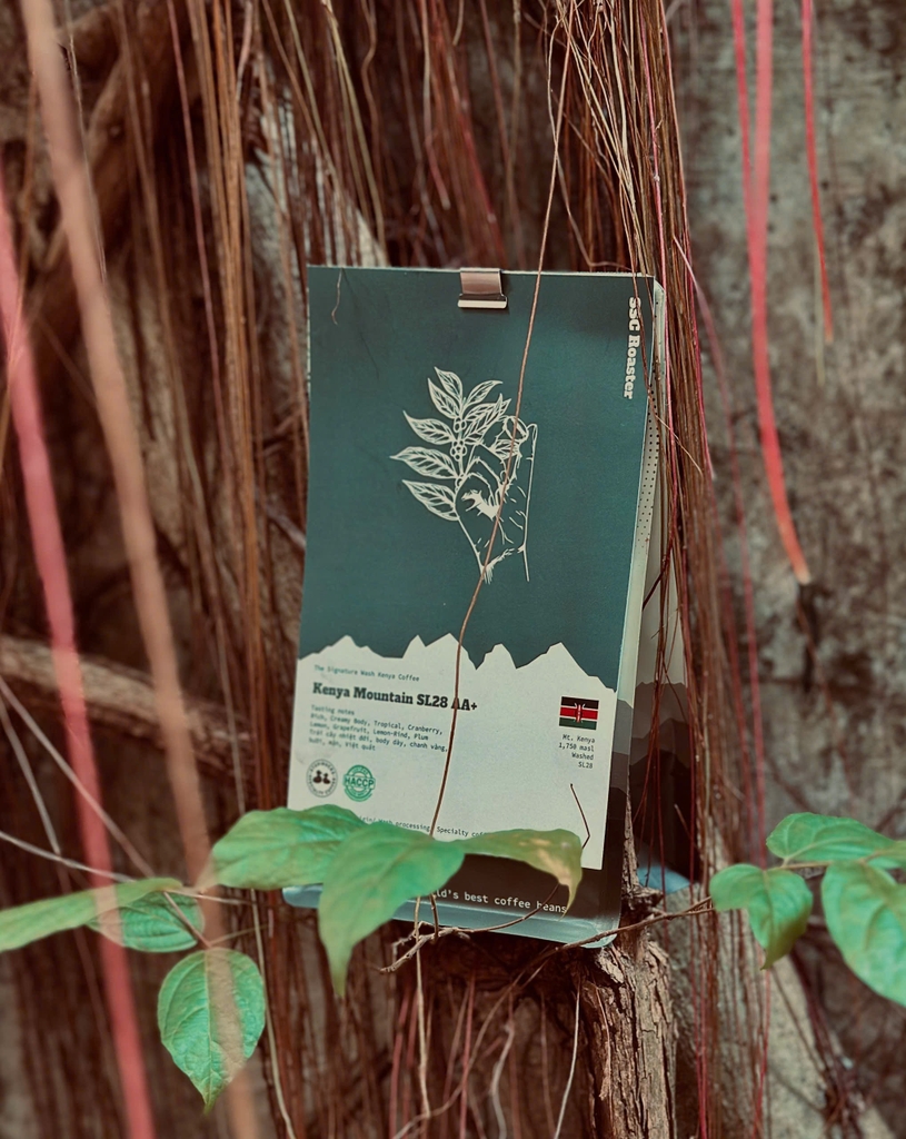 SL28 Kenya AA Plus Mount Kenya - Stupiducks Specialty Coffee ( SSC Roaster)