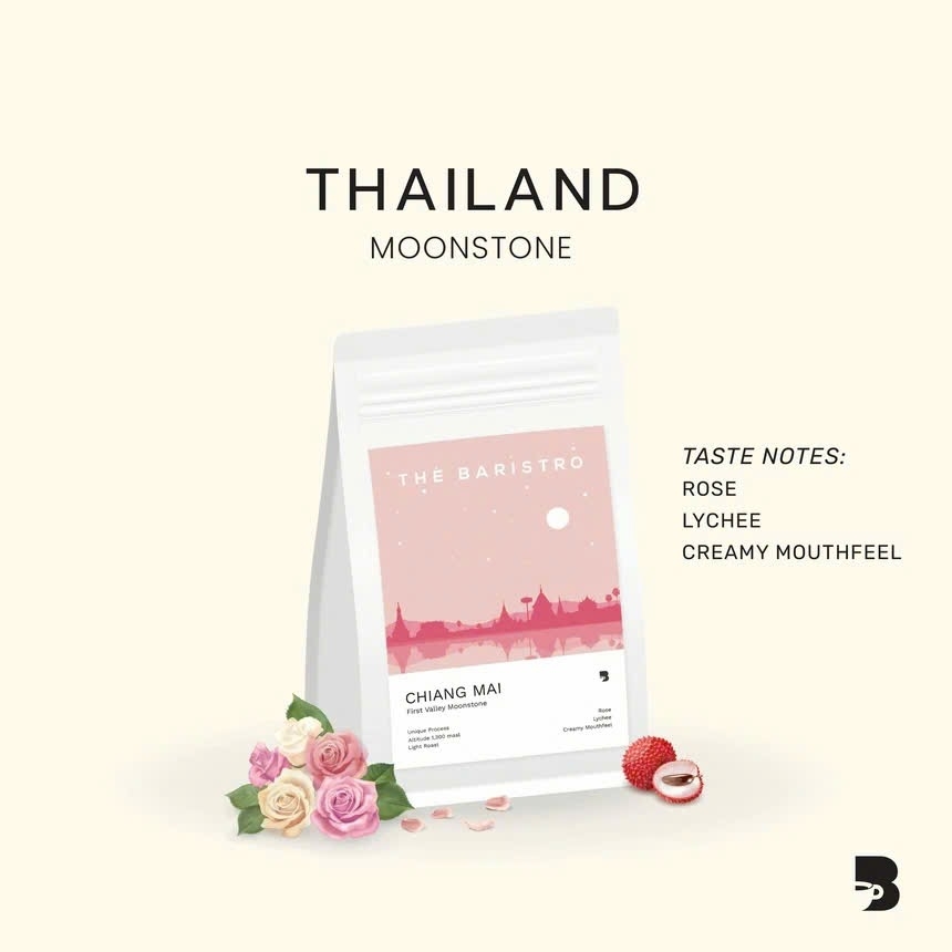 Thailand Moonstone - The Baristro