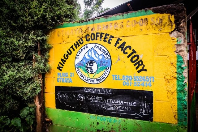Cà Phê Nhân Xanh QB Kenya Othaya FCS Kiaguthu Factory AA Natural
