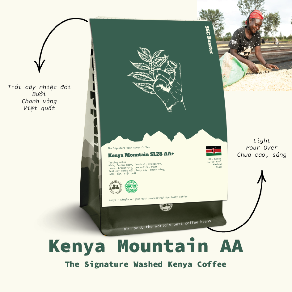 Africa Pick Combo: Kenya AA Plus Mt. Kenya Washed & Ethiopia Oromia Buku Abel G1 Natural
