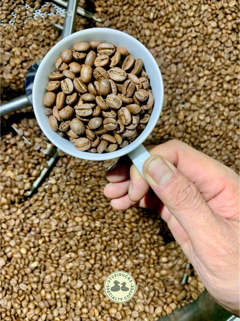 Arabica Colombia Huila Volcano Supremo Sc 17/18 Washed - Stupiducks Specialty Coffee (SSC Roaster)