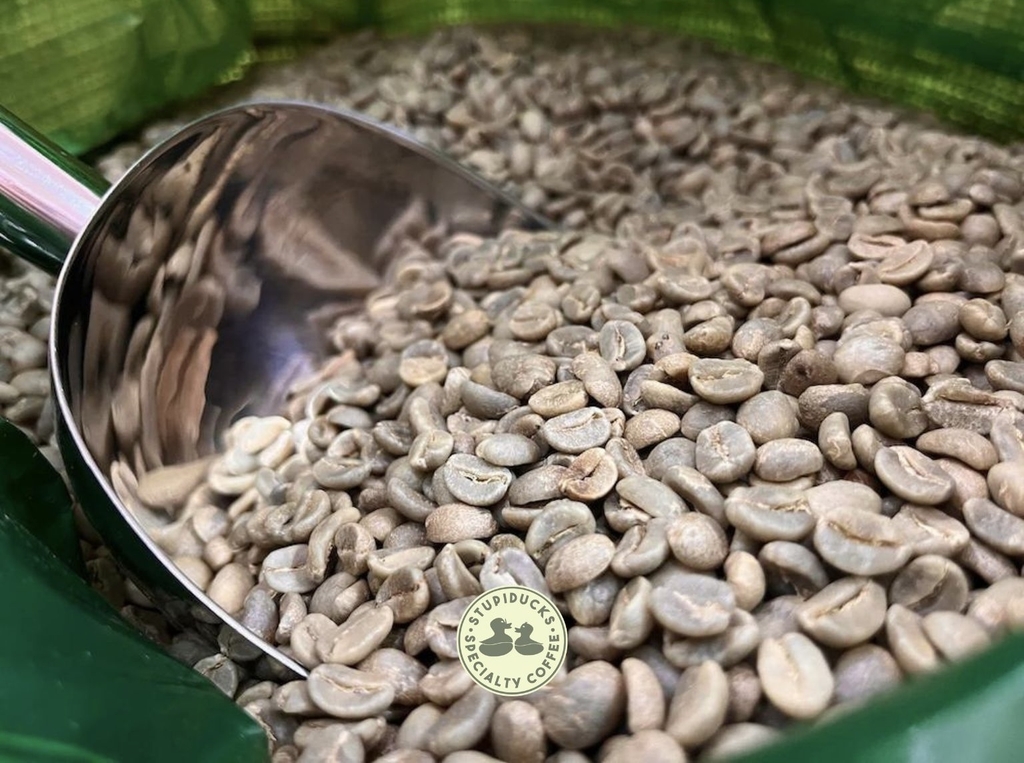 Drip Bag Colombia Huila Volcano Supremo Sc 17/18 Washed - Cà Phê Phin Giấy Stupiducks