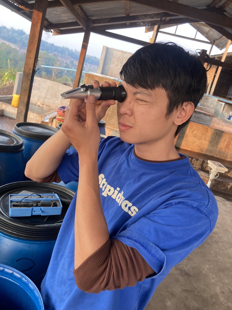 Arabica Myanmar Ywangan Shan State Honey Process G1 - Stupiducks Specialty Coffee