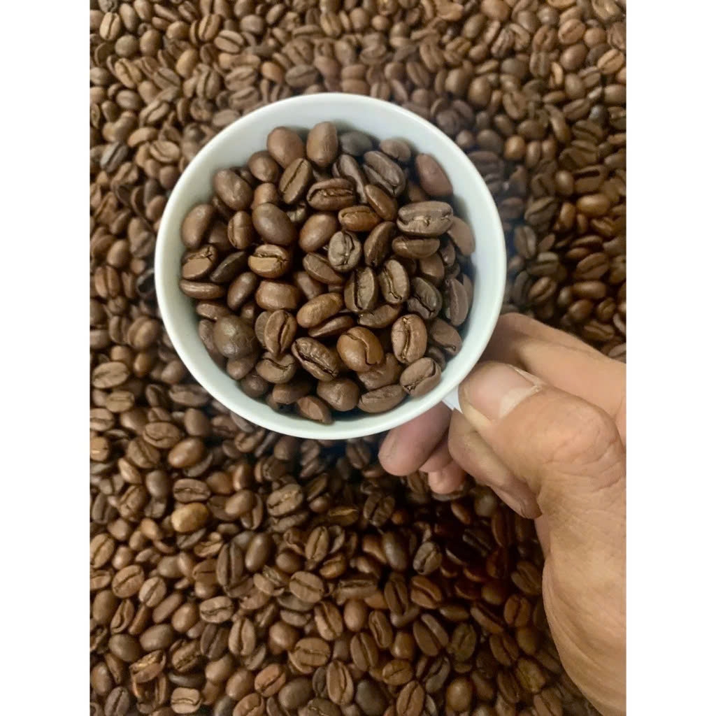 Việt Nam Đà Lạt Fully Washed SHG Lotus (high quality) - Stupiducks Specialty Coffee