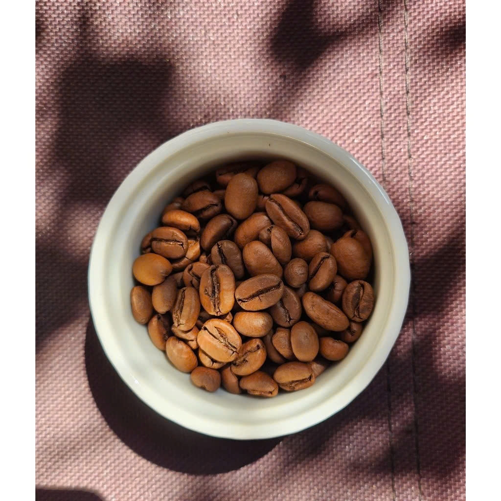 Peach & Orange Mars ( Tuesday) - Stupiducks Specialty Coffee ( SSC Roaster)