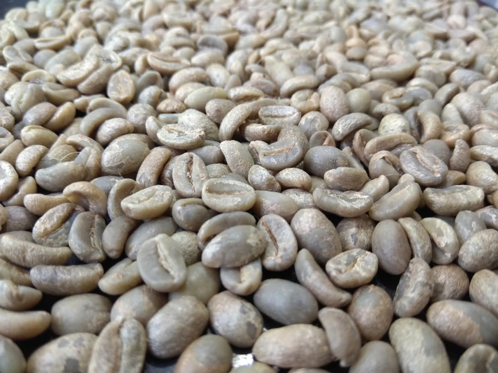 Cà Phê Nhân Xanh QB The Wild Espresso India Coffee