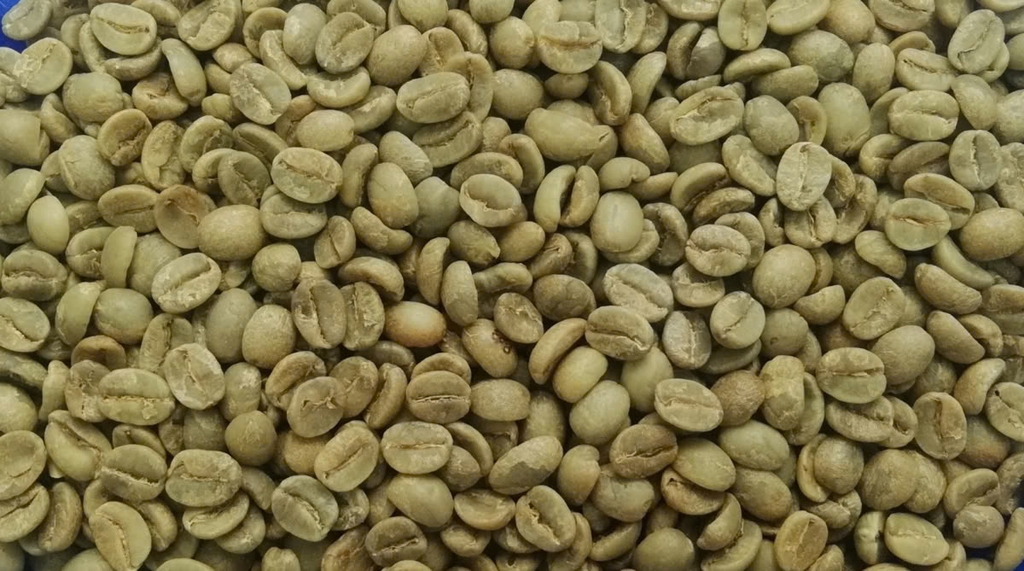 Cà Phê Nhân Xanh QB The Wild Espresso India Coffee