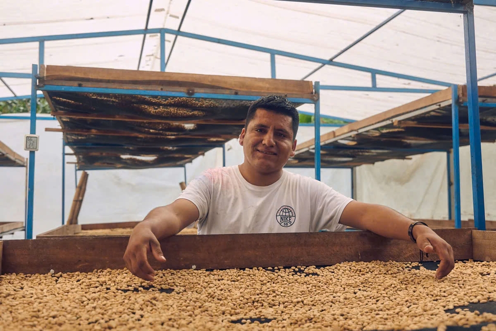 Drip Bag Peru Marshell Finca El Morito -  Cà Phê Phin Giấy Stupiducks