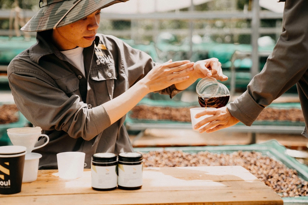 Việt Nam Fine Robusta Lâm Đồng Fruity Yeast Natural - Stupiducks Specialty Coffee (SSC Roaster)
