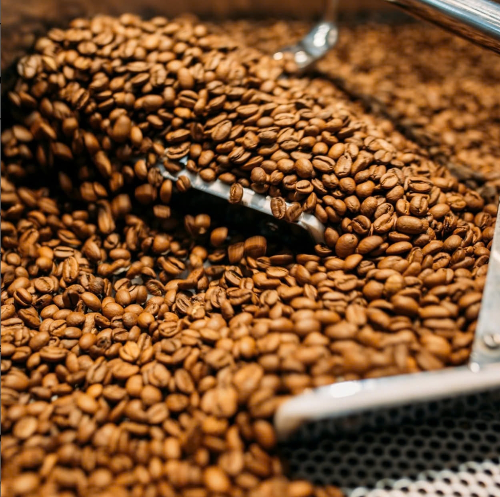 Panama Classical San Ramon Finca Eleta - Stupiducks Specialty Coffee ( SSC Roaster)