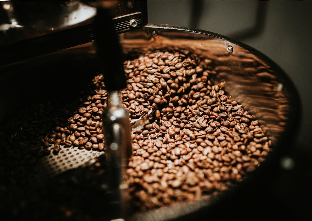 Rosie Champagne Huila La Herencia - Stupiducks Specialty Coffee ( SSC Roasters)