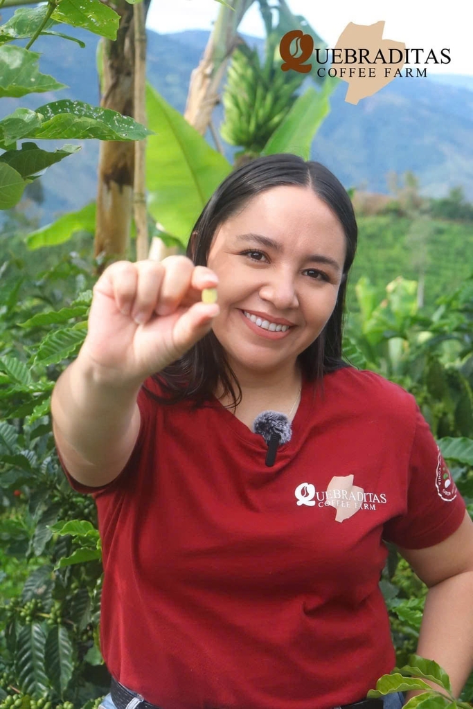 Sidra Passion Bloom Finca Quebraditas - Stupiducks Specialty Coffee ( SSC Roaster)