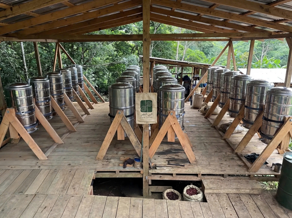 Guji Red Berry Pop - Stupiducks Specialty Coffee ( SSC Roaster)