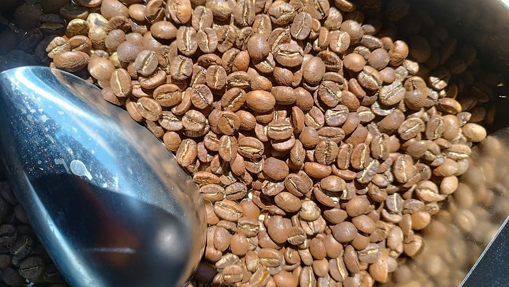 BLACK SHEEP SL28 Costa Rica Specialty Coffee- BEANSLINK Project