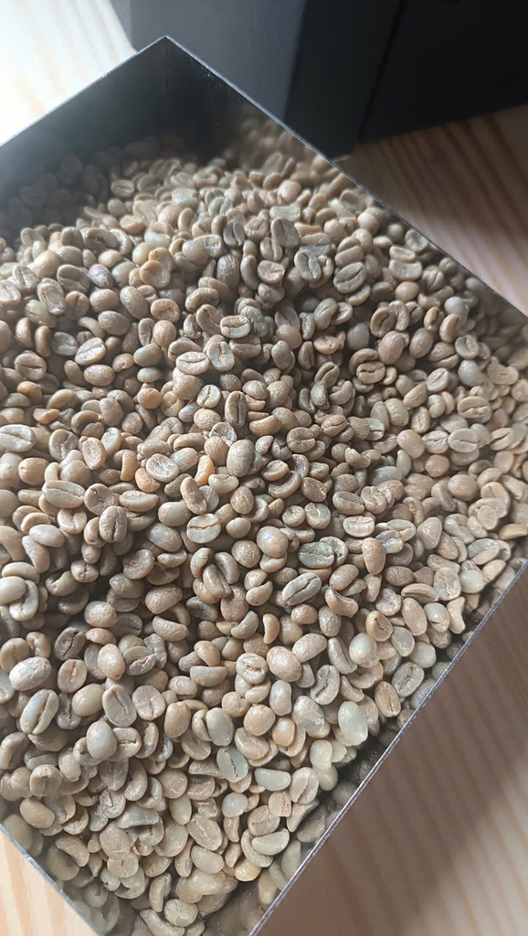 BLACK SHEEP SL28 Costa Rica Specialty Coffee- BEANSLINK Project